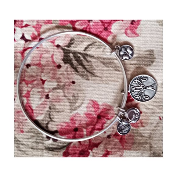 Alex & Ani Expandable 925 Sterling Silver Irish Ireland Symbol Bracelet NWOT - Picture 1 of 4